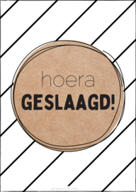 A6 kaart | hoera, geslaagd!