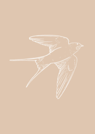Kaart | A6 | vogel (1)