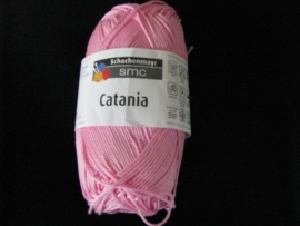 Catania Orchidee  222