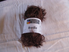 Brazillia Bruin 1