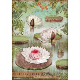 Rice paper 'Amazonia Water Lily'