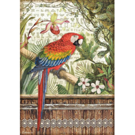 Rice paper 'Amazonia Parrot'