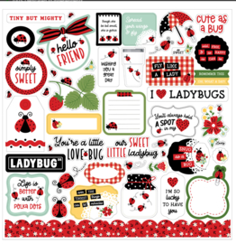 Echo Park 'Little Ladybug’ collection kit