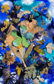 By Kris workshop  ‘Wild & Inky’ 29 augustus 2026 -VOL