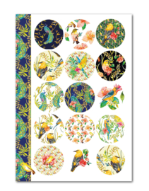 Stickervel 'Birds'