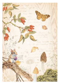 Rice paper ‘Woodland Butterfly’
