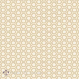 Moda, Hexagons