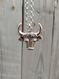 Stoere jasseron ketting met een grote skull hanger