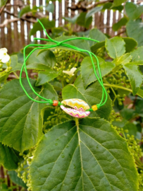 Groen enkelbandje en kauri schelpje met flower power opdruk