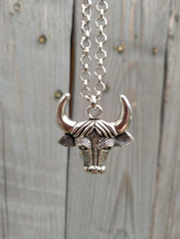 Stoere jasseron ketting met een grote skull hanger