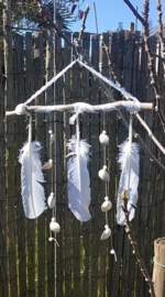 Schelpenhanger met grote witte veren