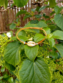 Oranje hippie enkelbandje met kauri schelpje