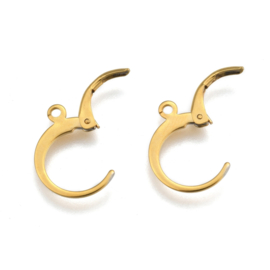 Adelaar Oorbellen "Fly Like An Eagle" Goud