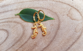 Zeepaard Oorringen "Seahorse" Goud