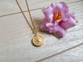 Leeuw Ketting "Lion Coin On Rope Chain" Goud