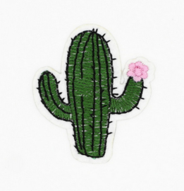 Cactus Patch "Cactus"