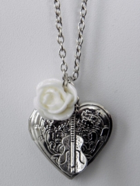 Medaillon Ketting "Music Was My First Love"