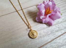 Leeuw Ketting "Lion Coin On Rope Chain" Goud