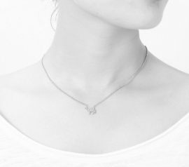 Subtiele Kameel Ketting "Camel" Silver Plated