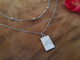 Luipaard Ketting "Wild Animal" met GRATIS extra ketting