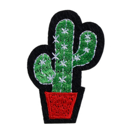 Cactus Patch "Mr. Pricky"