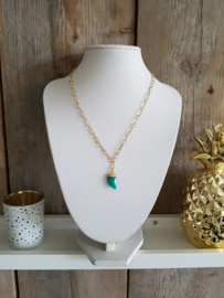 Schakel Ketting "Amazonite Tooth" Stainless Steel