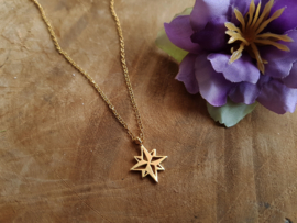 Ster Ketting "Morningstar" Stainless Steel