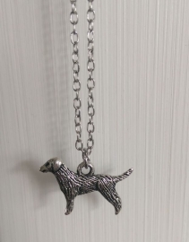 Hond Ketting "Dachshund / Golden Retriever"