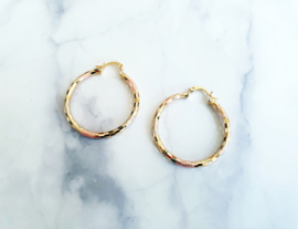 Oorringen "Pretty Pastel Hoops" Goud