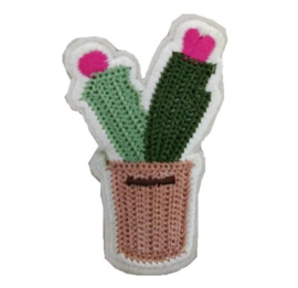 Cactus Patch "Cactus in Pot"