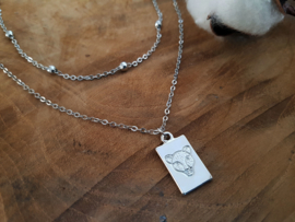 Luipaard Ketting "Wild Leopard" met GRATIS extra ketting