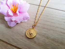 Leeuw Ketting "Lion Coin On Rope Chain" Goud