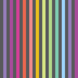 Disco Stripe - CARBON - PWTP231 - pre-order