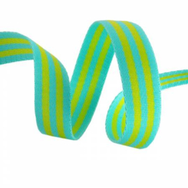 Webbing Tula Pink - 1 inch - Lime and Turquoise- #04