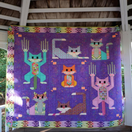 Cat Scratch Quilt- kit - fabric Tula Pink