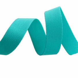 1 inch webbing - spirit/teal - Tula Pink