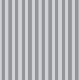 Tent Stripe - FOG - PWTP069 - pre-order