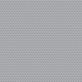 Kinda Shady - FOG - PWTP263 - pre-order
