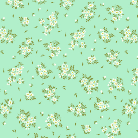 What a Ditz - Spearmint - PWTP253