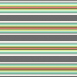 Tick Tock Stripe - Mint - PWTP082 - Tula Pink