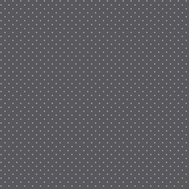 Tiny Dots - CARBON - PWTP185 - pre-order