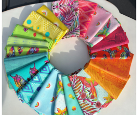 Daydreamer - Fat Quarter Bundel (21) - Tula Pink