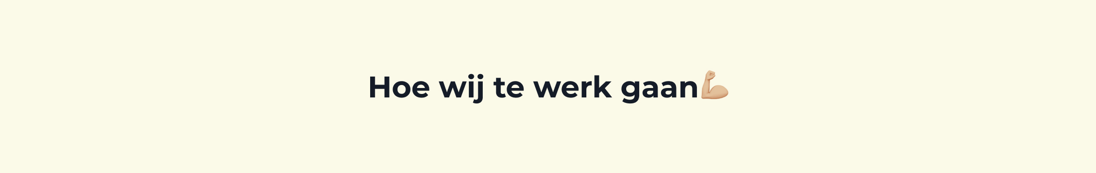 Ontwerpmijnwebwinkel-werkwijze