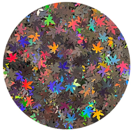 Leaves hologram collectie 11+1 gratis