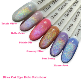 Diva Gellak Cat  Eye Holo Rainbow Bon Berry 15 ml