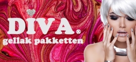 VOL Vrijdag 19 Januari Diva Gel Lak Workshop met certificaat