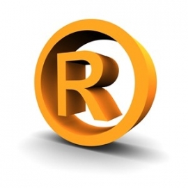 Registered Trademark and Registered Models