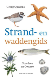 Strand en waddengids