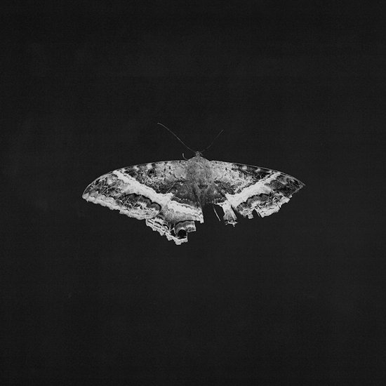 Kendrick Lamar - To Pimp a Butterfly [ grey marble vinyl ]