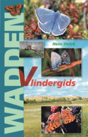 Wadden Vlindergids